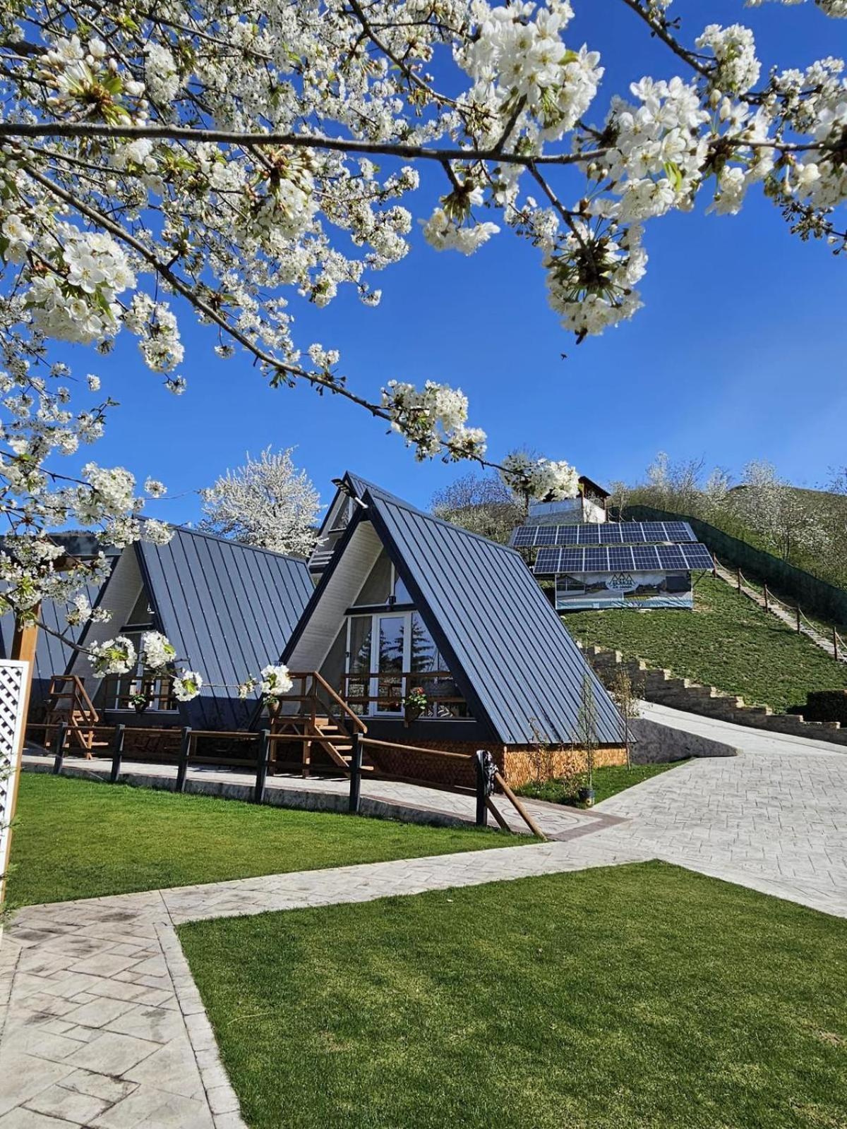 Chalet La Casute Luxury